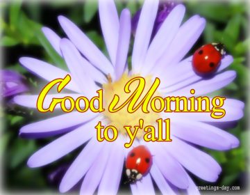Good Morning to y’all