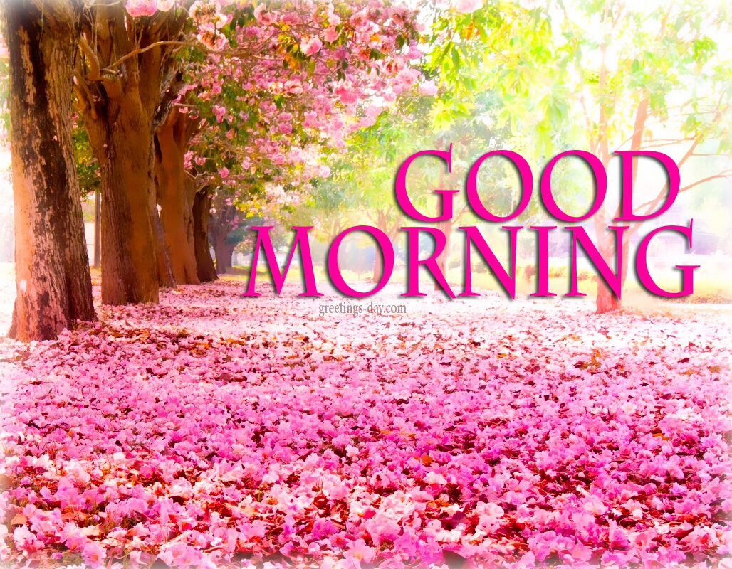 Good Morning – Best Pictures, Animated Pics and Quotes.