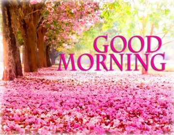Good Morning – Best Pictures, Animated Pics and Quotes.
