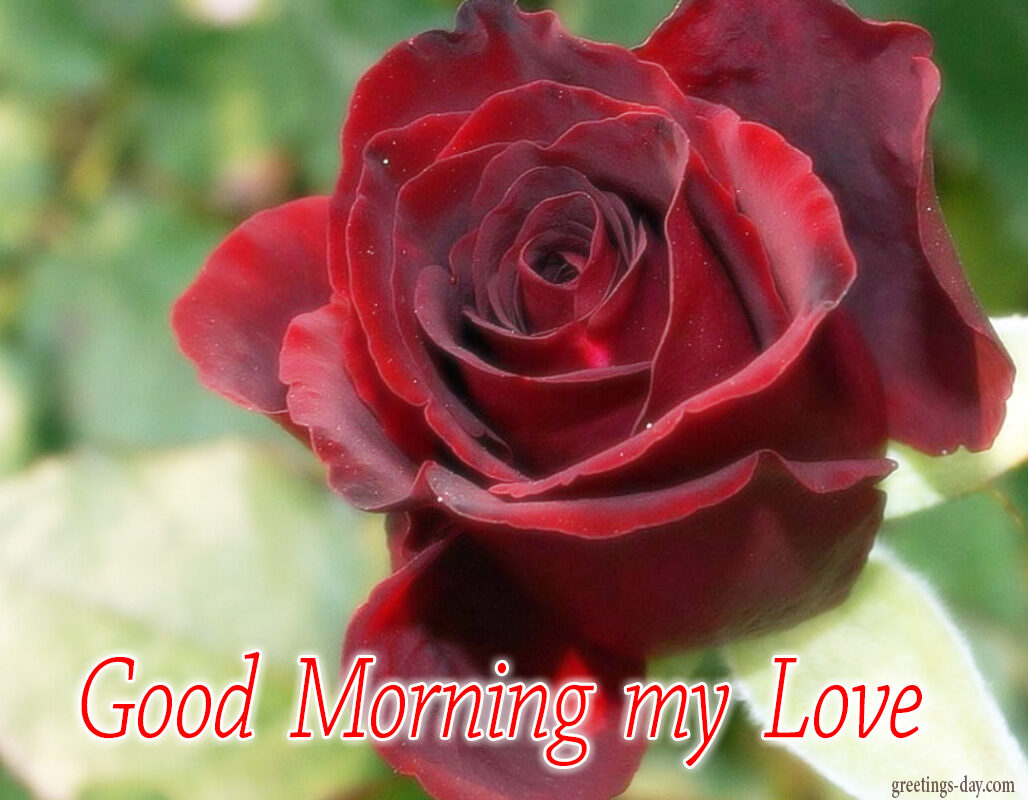 Good Morning – Free Cards, Photos & Greetings