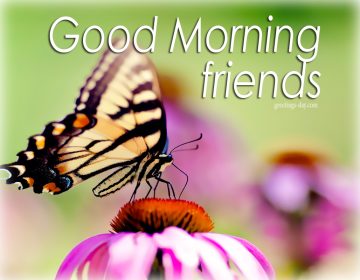 Good Morning – Free Images, Animated Pics and Quotes.