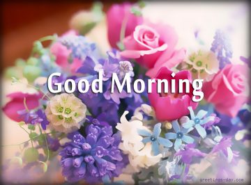 Good Morning – Free Images, GIFs & Messages.