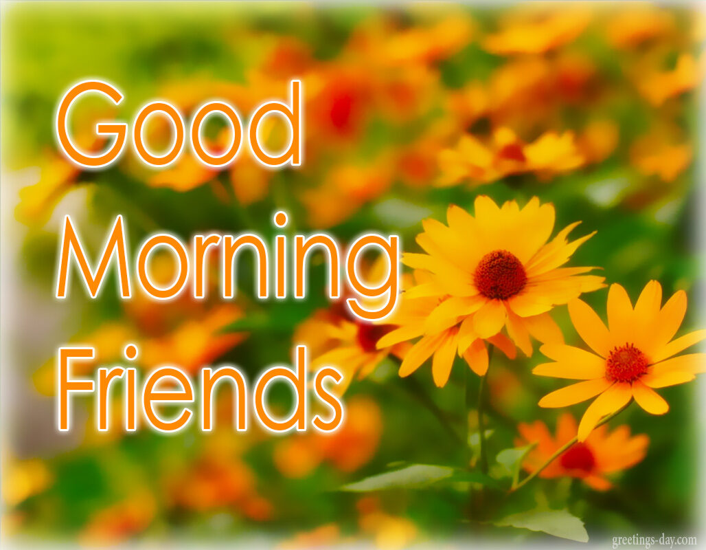 Good Morning – Best Ecards, GIFs & Messages.