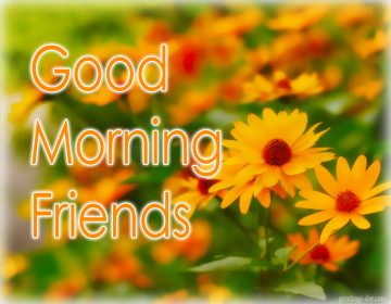 Good Morning – Best Ecards, GIFs & Messages.