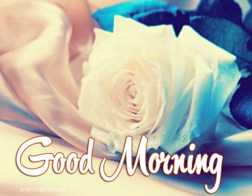 Good Morning – Daily Ecards, GIFs & Greetings.