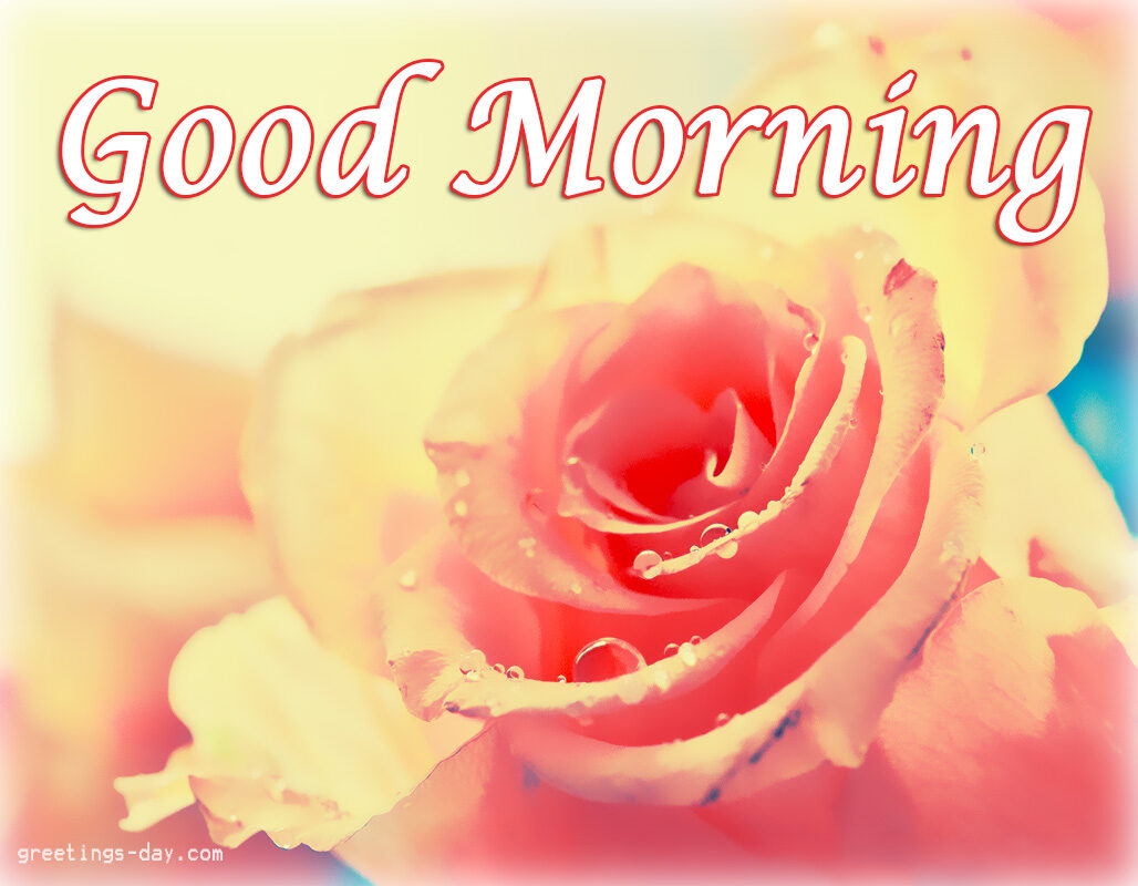 Good Morning – Daily Images, GIFs and Quotes