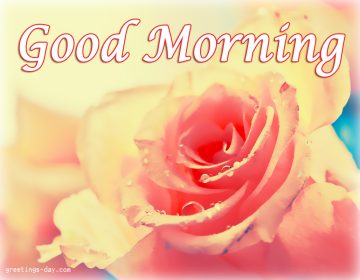 Good Morning – Daily Images, GIFs and Quotes