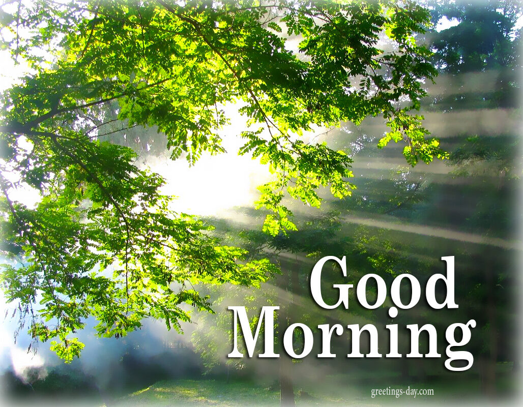 Good Morning – Free Ecards, Photos and Greetings