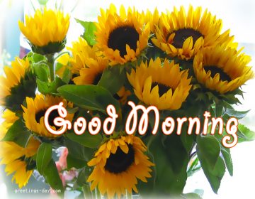 Good Morning – Online Images, Photos and Messages