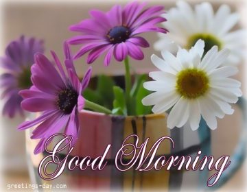 Good Morning – Best Pictures, Photos & Messages.