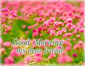 Good Morning – Online Images, GIFs & Wishes.
