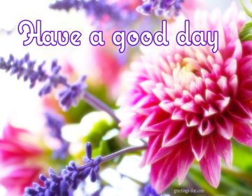 Have a Nice Day – Best Animated GIFs, Quotes, Pics.