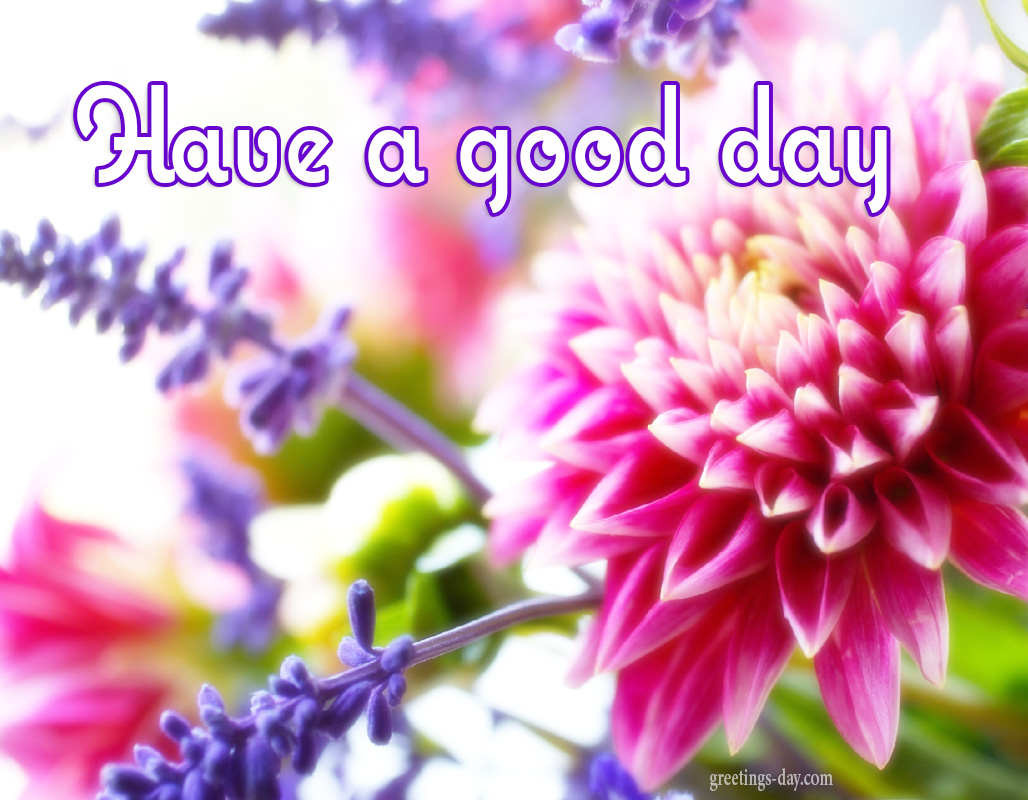 have a beautiful day animated