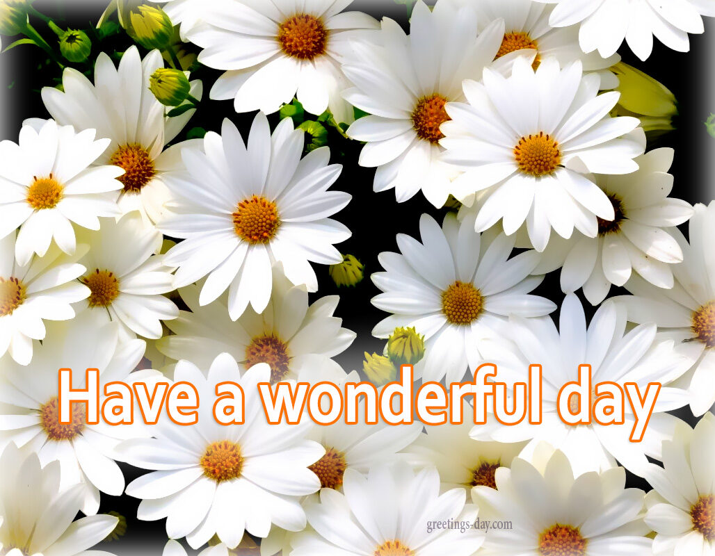 Have a Nice Day – Best Quotes, Photos, Pictures