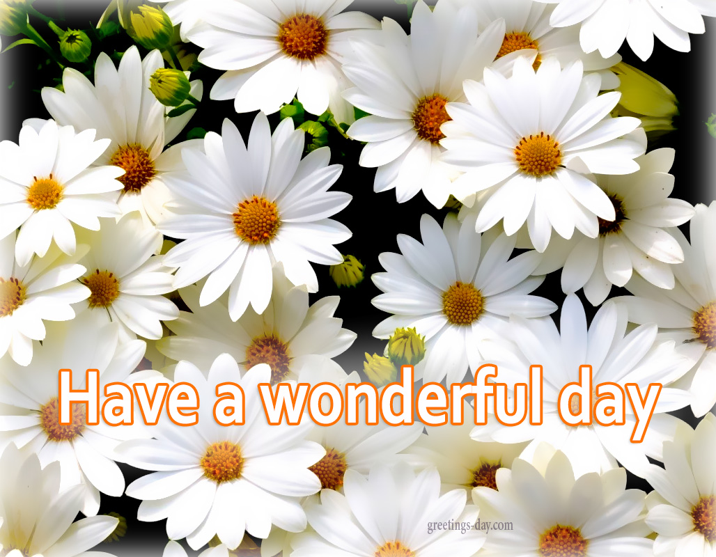 have wonderful day