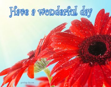 Have a Wonderful Day – Free Quotes, Images, Animated GIFs