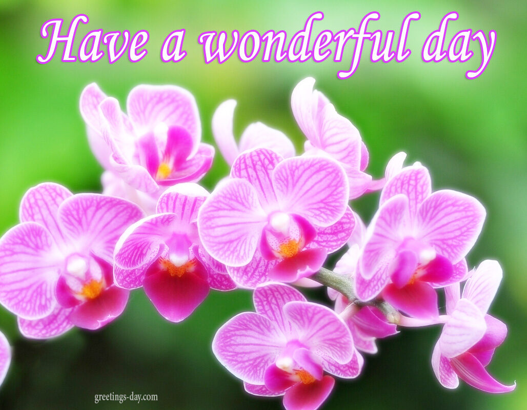 Have a Wonderful Day – Daily Pics, Greetings