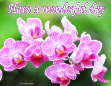 Have a Wonderful Day – Daily Pics, Greetings
