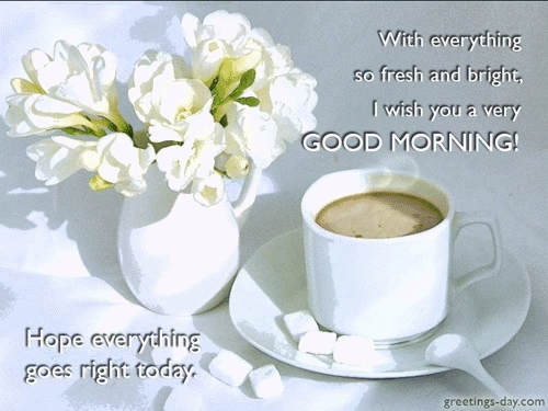 Good Morning – Free Animated Cards, GIFs and Greetings.