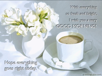 Good Morning – Free Animated Cards, GIFs and Greetings.