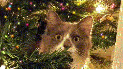 Christmas Animated Pics, Ecards & Greetings