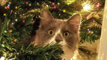 Christmas Animated Pics, Ecards & Greetings