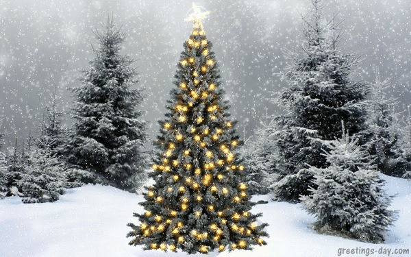 Xmas Ecards, GIFs and Quotes.