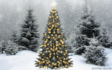 Xmas Ecards, GIFs and Quotes.