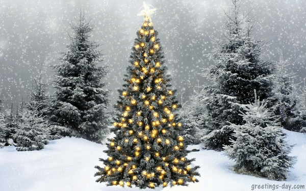 Top-25 Merry Christmas animated GIF cards & greeting messages.
