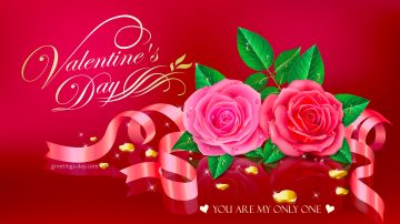 Happy Valentines Day my Darling