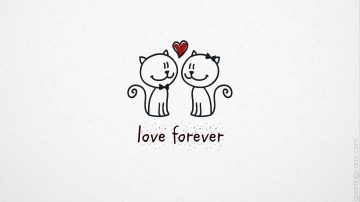 Funny Valentine’s Day Quotes for friends