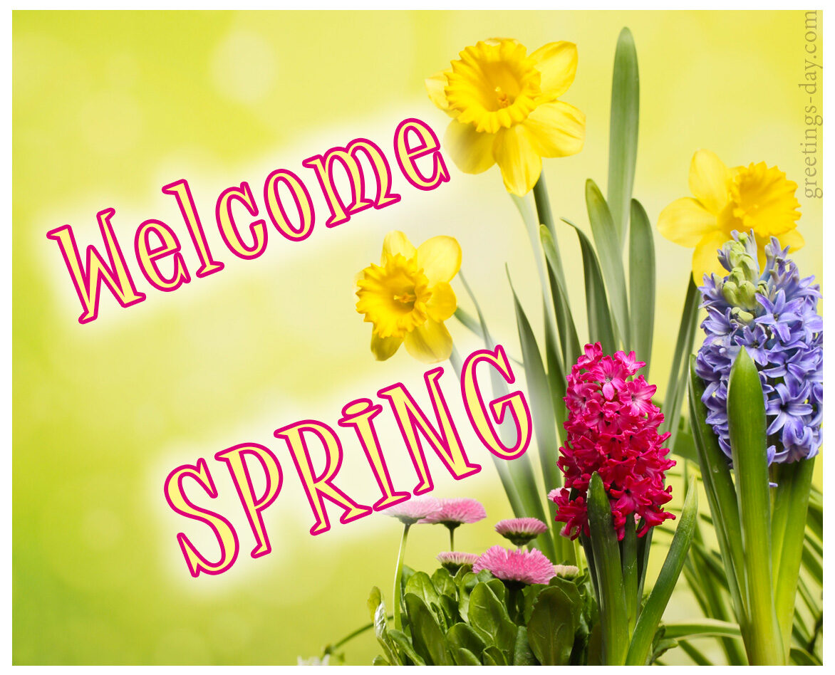 Welcome Spring – 10 Amazing Pictures & Cards
