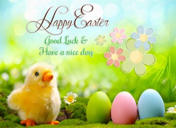 Happy easter to all of you