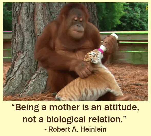 Quotes For Mother’s Day