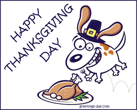 Happy Thanksgiving Funny Image