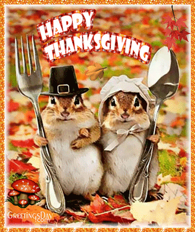 Happy Thanksgiving Animated Gif Picture