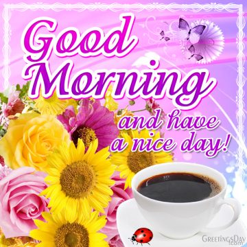 Good Morning and Have nice Day