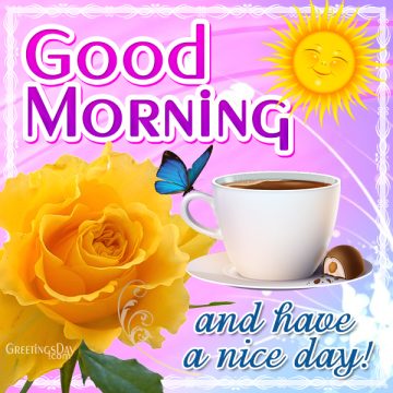 Good Morning and Have a nice Day!