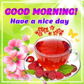 Good morning! Have a Nice Day!