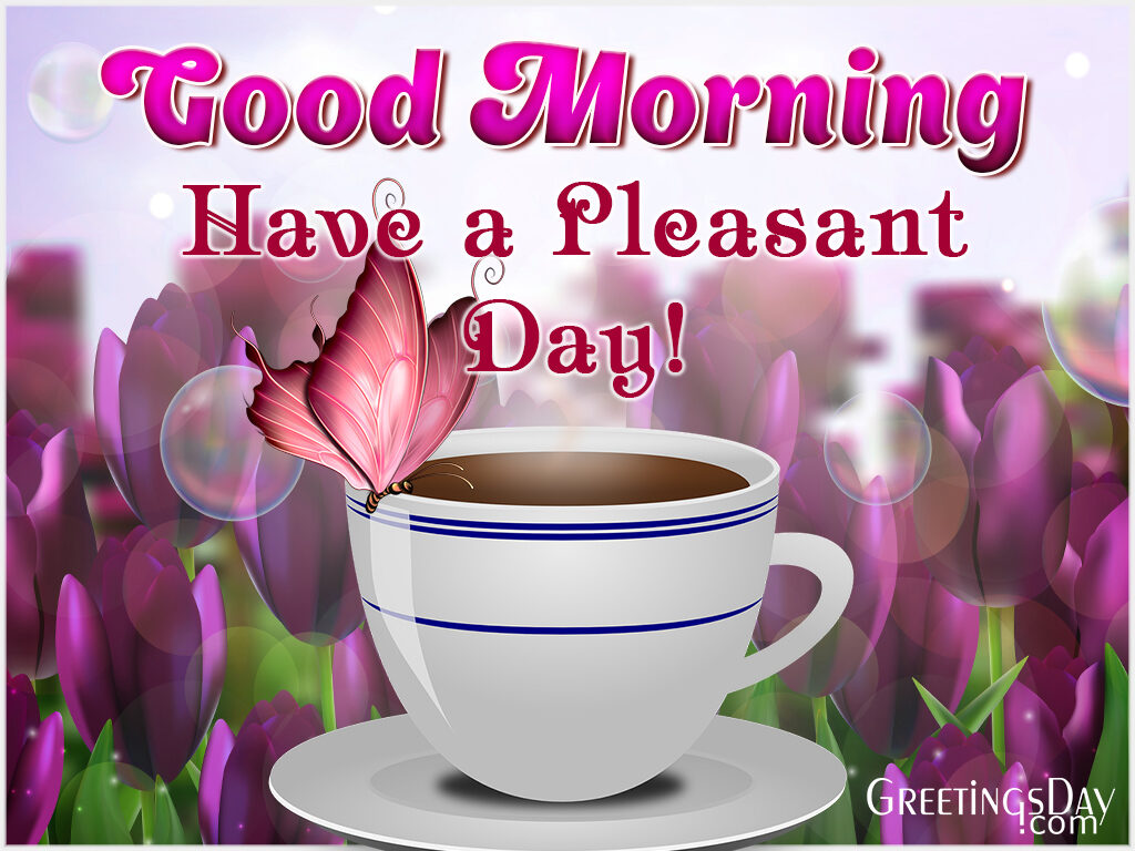 Good morning! Have Pleasant Day!