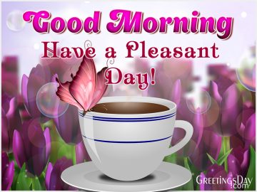 Good morning! Have Pleasant Day!