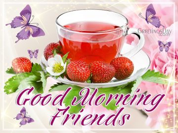 Good Morning Friends!