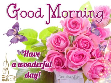 Good Morning. Have a wonderful Day!