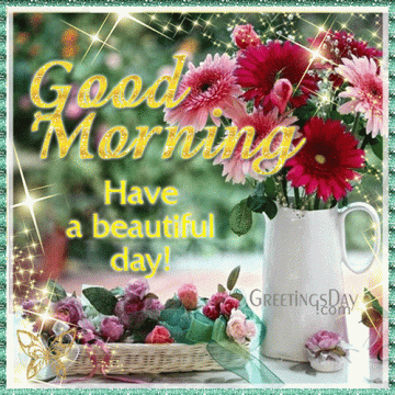 Good Morning Have a beautiful day!