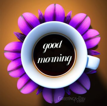 Good Morning!