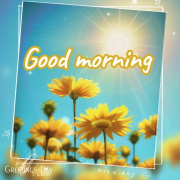 Good Morning!