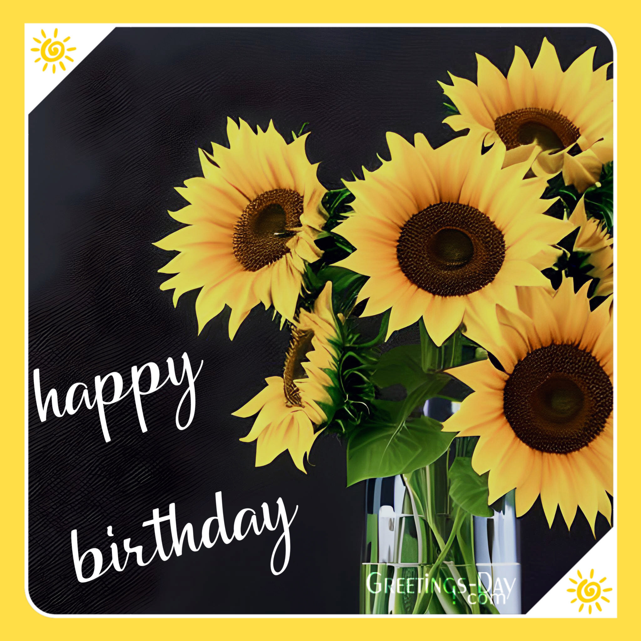 Happy Birthday Wishes