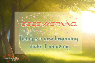 Good Morning!