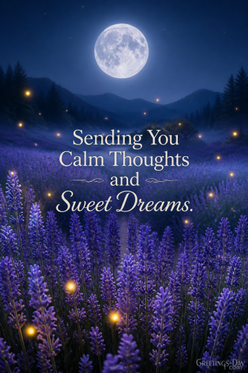 Sending You Calm Thoughts and Sweet Dreams