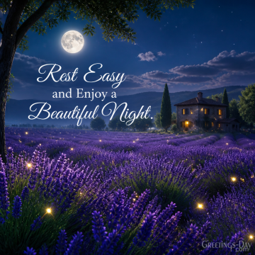 Rest Easy and Enjoy a Beautiful Night